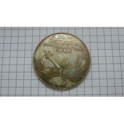 medal-schwarze-schmach-und-kulturschande-am-rhein